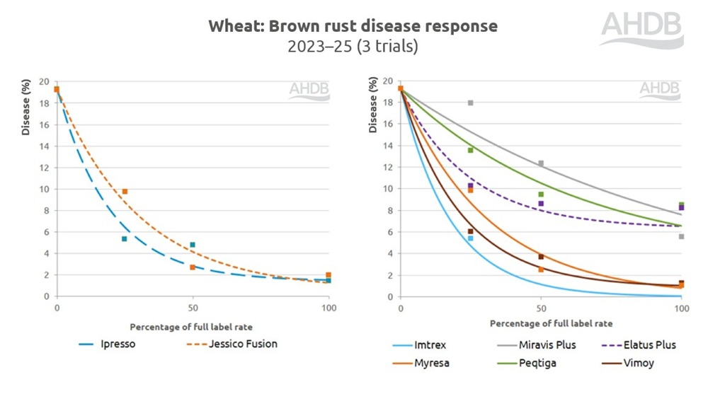 Wheat brown rust disease response to fungicides chart 2023–25.